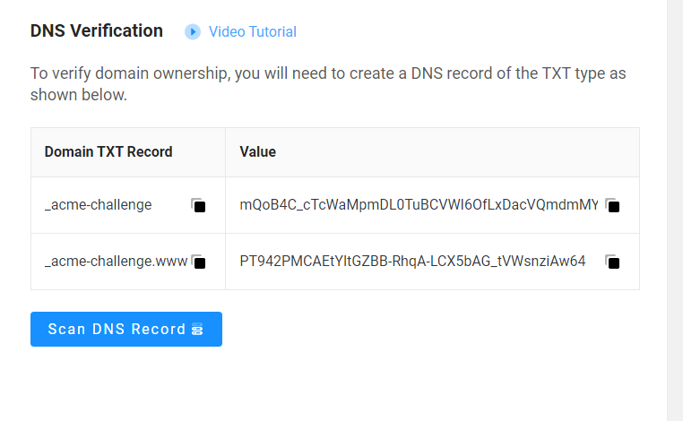 SSL_Zen_copy_txt_record_WordPress